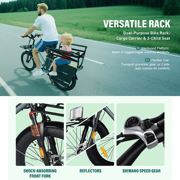 Električno biciklo TFSMILEE Cargo E-bike E15