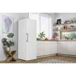 Frižider Gorenje R619EEW5 -740845/