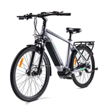 Električni bicikl MS Energy eBike C101/