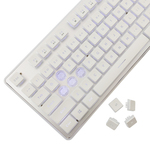 Tastatura White Shark Tachi White Gaming Tastatura White Shark Tachi White Gaming