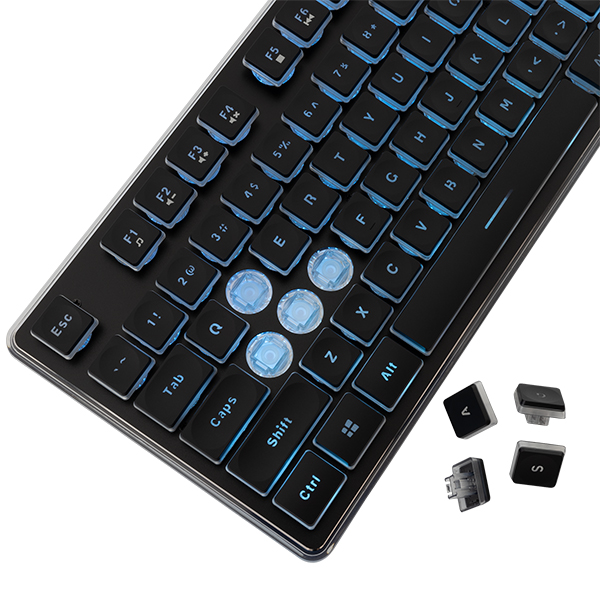 Tastatura White Shark Tachi Black Gaming Tastatura White Shark Tachi Black Gaming