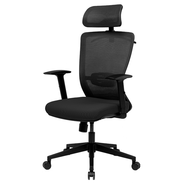 Radna ergonomska kancelarijska stolica Loctek Flexispot BS3 Radna ergonomska kancelarijska stolica Loctek Flexispot BS3