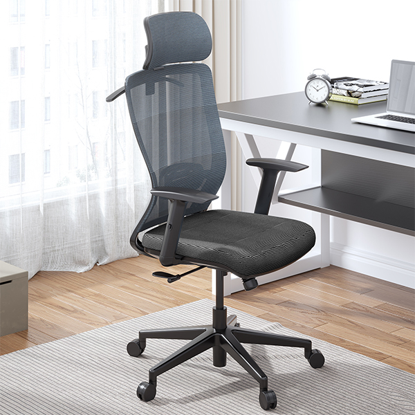 Radna ergonomska kancelarijska stolica Loctek Flexispot BS3 Radna ergonomska kancelarijska stolica Loctek Flexispot BS3