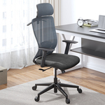 Radna ergonomska kancelarijska stolica Loctek Flexispot BS3 Radna ergonomska kancelarijska stolica Loctek Flexispot BS3