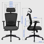 Radna ergonomska kancelarijska stolica Loctek Flexispot BS3 Radna ergonomska kancelarijska stolica Loctek Flexispot BS3