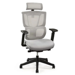 Radna ergonomska kancelarijska stolica Loctek Flexispot C7