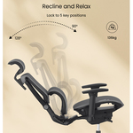 Radna ergonomska kancelarijska stolica Loctek Flexispot C7