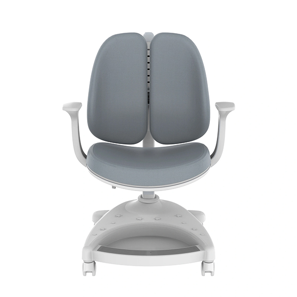Dječija ergonomska stolica Loctek Flexispot SC04 (Gray)