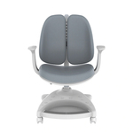Dječija ergonomska stolica Loctek Flexispot SC04 (Gray)