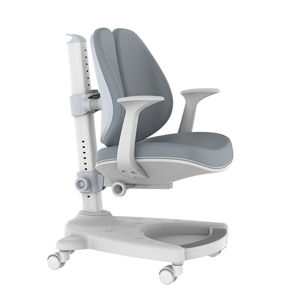 Dječija ergonomska stolica Loctek Flexispot SC04 (Gray) Dječija ergonomska stolica Loctek Flexispot SC04 (Gray)