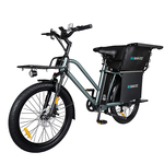 Električno biciklo TFSMILEE Cargo E-bike E15