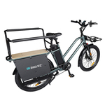Električno biciklo TFSMILEE Cargo E-bike E15 Električno biciklo TFSMILEE Cargo E-bike E15