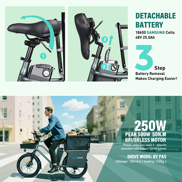 Električno biciklo TFSMILEE Cargo E-bike E15 Električno biciklo TFSMILEE Cargo E-bike E15