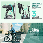 Električno biciklo TFSMILEE Cargo E-bike E15 Električno biciklo TFSMILEE Cargo E-bike E15