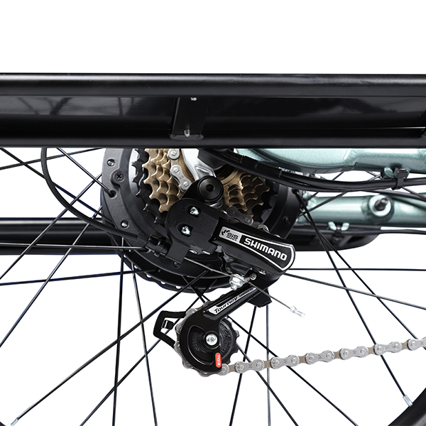 Električno biciklo TFSMILEE Cargo E-bike E15 Električno biciklo TFSMILEE Cargo E-bike E15