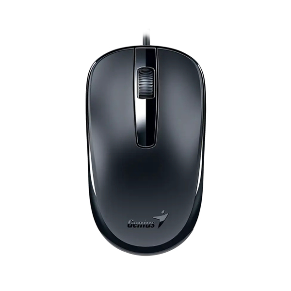 Miš Genius DX-120 USB Type-C Optical crni