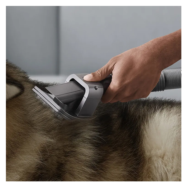 Dyson Pet Cleaning Kit Retail 9722205-01 Dyson Pet Cleaning Kit Retail 9722205-01
