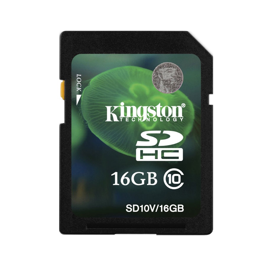 SD kartica Kingston 16GB klasa 10