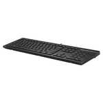 Tastatura HP 125 G2 AY2Y7A6 YU WD USB
