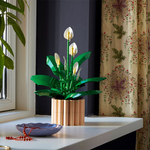 LEGO Botanicals Peace Lily (11504)