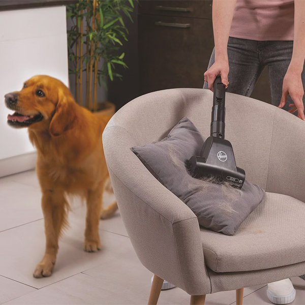 Usisivač Hoover HP321PAF 011