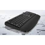 Tastatura Genius KB-123 USB US (TAS01512)