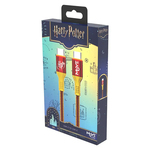 Kabl za punjenje Moye Harry Poter USB-C na USB-C 1m 01 WB (29885)
