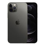 Mobilni telefon Apple iPhone 12 Pro 6/256GB (graphite)