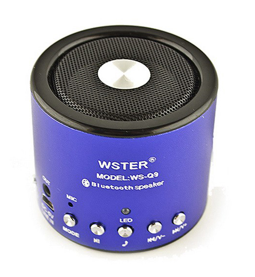 Bluetooth zvučnik WSTER WS-Q09 boje