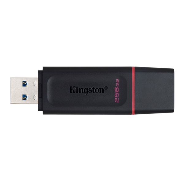 USB Kingston DTX Exodia DTX/256GB