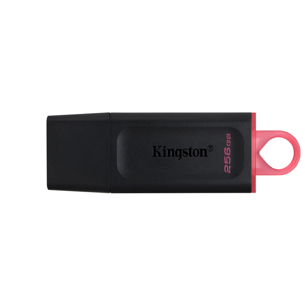 USB Kingston DTX Exodia DTX/256GB