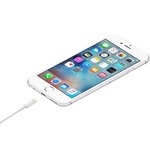Kabl Apple MD819ZM/A 2M USB 2m Kabl Apple MD819ZM/A 2M USB 2m