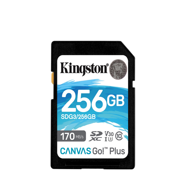SD kartica Kingston Canvas Go Plus SDG3/256GB