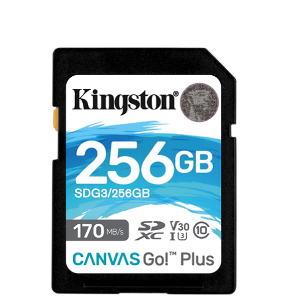 SD kartica Kingston Canvas Go! Plus 256GB SDXC SDG3/256GB