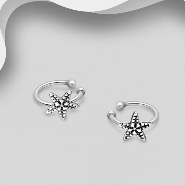 Silver BT C 706-19983