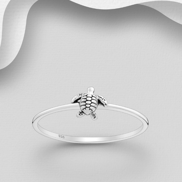 Silver BT R 1063-4628 S6