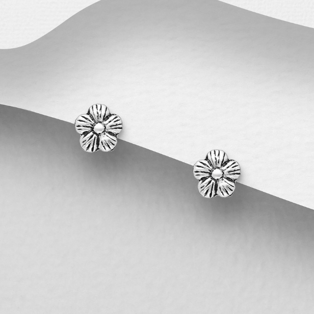 Silver BT E 1068-2117