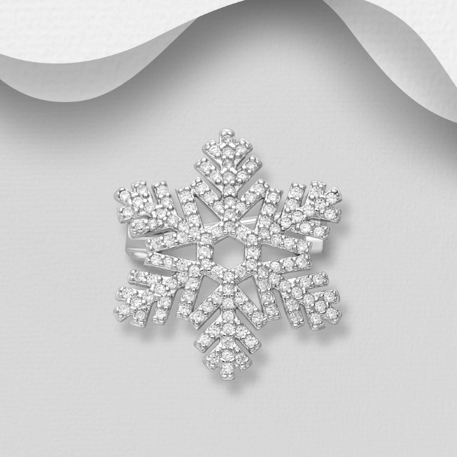 Silver BT BR 701-30025