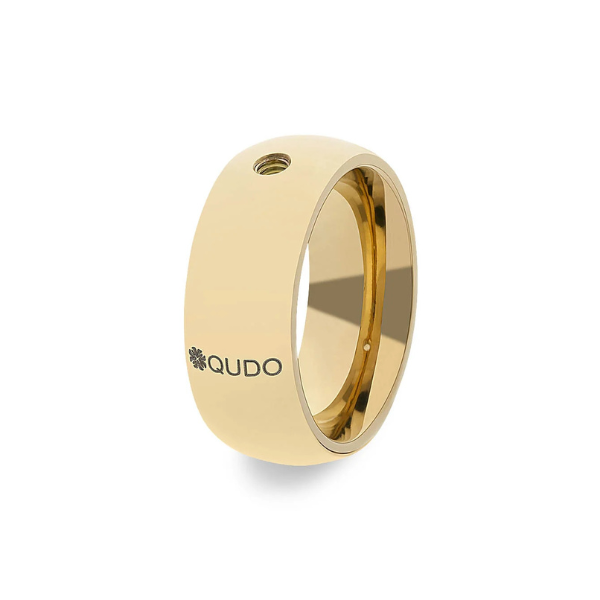 QUDO Ring Base Big 104002/41-1600-60