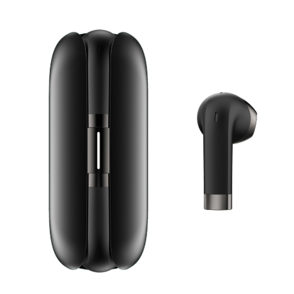 FITBUDS FB202201Q01