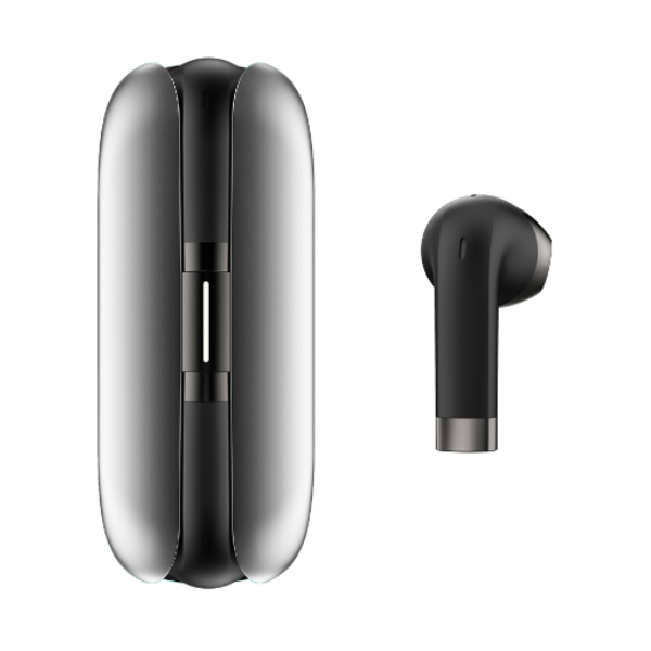 FITBUDS FB202201Q02