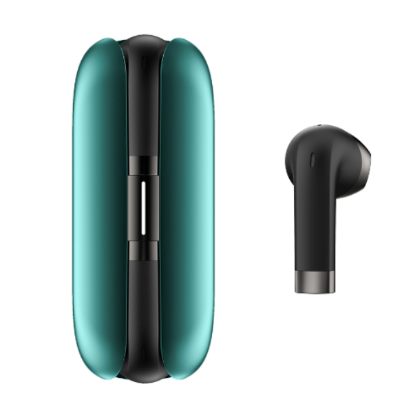 FITBUDS FB202201Q03