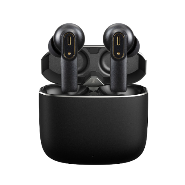 FITBUDS FB202201Z01