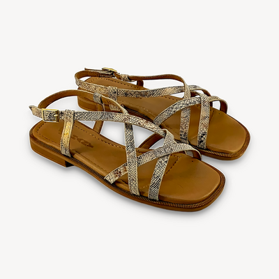 Phany P334-16213 beige