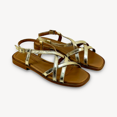 Phany P334-16213 gold