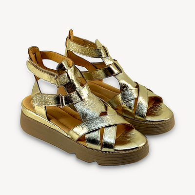 Phany P593-5877 gold
