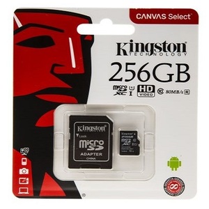 MEMORIJSKA KARTICA KINGSTON 256 GB