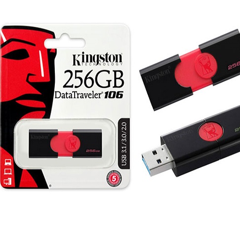 FLESKA USB KINGSTON 256 GB